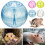Clear Hamster Exercise Ball for Small Pets 7
