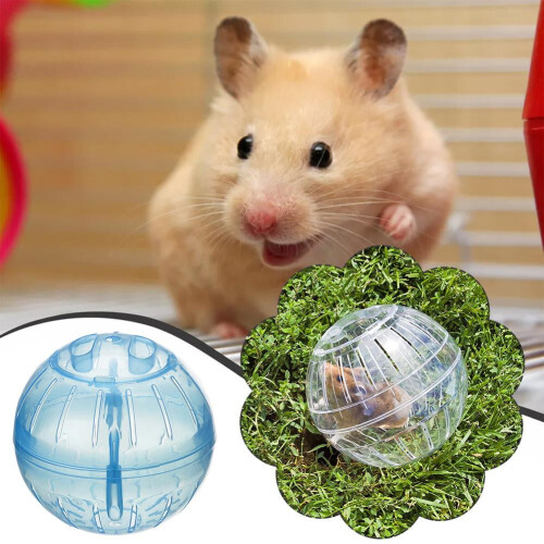 Clear Hamster Exercise Ball for Small Pets 1