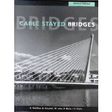 Cable Stayed Bridges