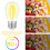 S14 Edison LED Bulbs E26 Base 2700K Warm White 24-Pack 7
