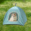 Portable Cat Tent with Slip-Resistant Bottom and Pop-Up 5