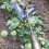Houe triangulaire de jardin avec lame tranchante (1 pièce) 2