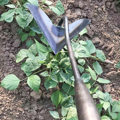 Houe triangulaire de jardin avec lame tranchante (1 pièce) 1