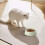 Plastic Pet Bowl Non-Slip Thickened 1 Piece 3