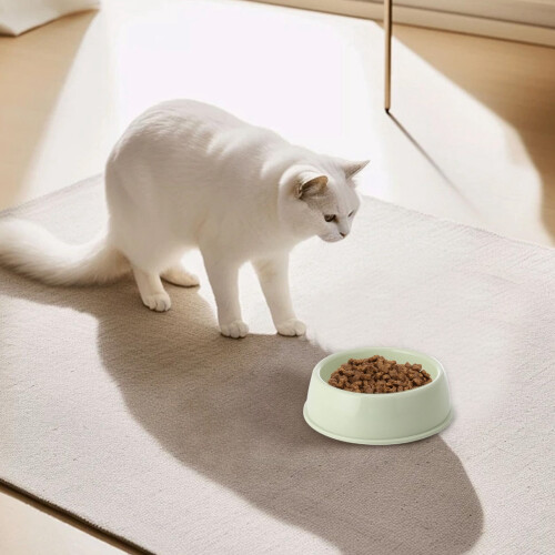 Plastic Pet Bowl Non-Slip Thickened 1 Piece 2
