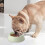 Plastic Pet Bowl Non-Slip Thickened 1 Piece 4