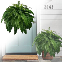 2Pcs Lifelike Artificial Fern Branches – Large Fake Flowers for Indoor/Outdoor Home Decor, Compatible with 2026 New Designs