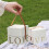 Gift Boxes with Lids – Chocolate and Valentine's Theme, 1 7