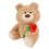 Rose Bear Teddy Bear Gift with Rose Bundle 2