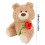 Rose Bear Plush Toy Romantic Hugging Teddy Bear 1 Piece 4