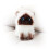 Peluche chat Mikilon, petit modèle réaliste en position assise, 20 cm 8