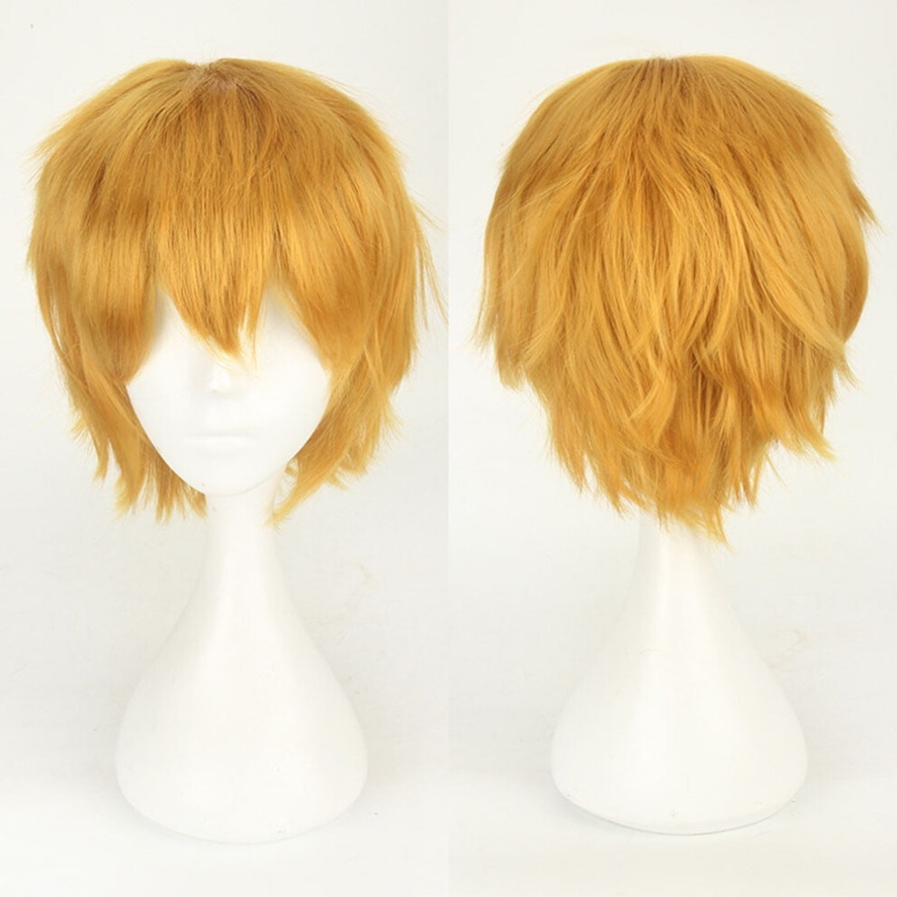 Human Hair Wig for Women Black Short Straight Lace Front