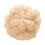 Éponge de bain Fleur de Prunier Double Couche Douce 12 x 8 cm 1