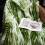 Green Scandinavian Flannel Tie Blanket 70x100cm 4