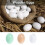Œufs de Pâques en bois beige (12 pièces) 4