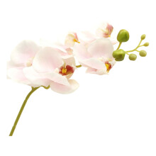 Világos rózsaszín hajlítható műorchidea selyem phalaenopsis ág