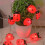 Φωτάκια Ladybugs Fairy String με Μπαταρία από Χάλκινο Σύρμα 1 τεμ. 3