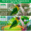 Heated Bird Perch for Parrots and Small Pets 12V 2