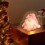 Pink Swedish Gnome Plush Elves with Sequin Hats 2-Pack 6