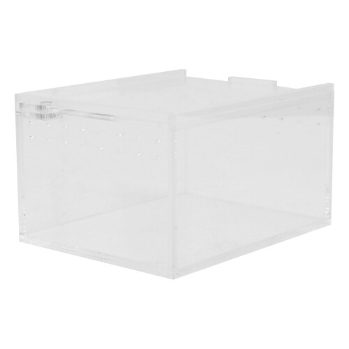 Transparent akryllåda för reptiluppfödning, 1-pack