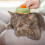 Cat Brush with Release Button 2 Pcs Pink Green 5