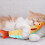 Catnip Fish Toy for Kittens - Chew and Interactive Play 6