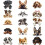 Toppe termoadesive per cani, 15 pezzi, 15 modelli 1
