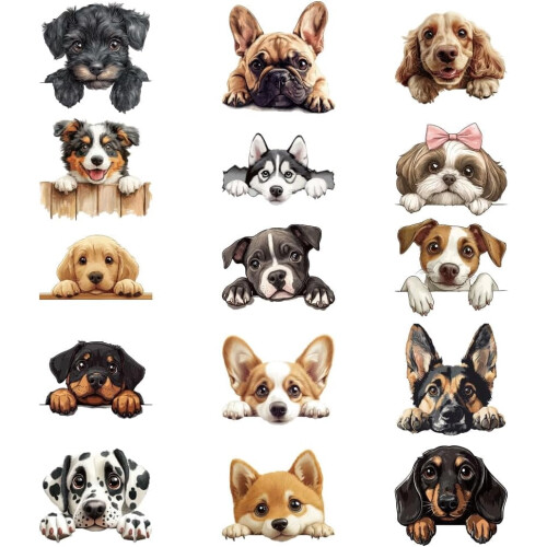 Toppe termoadesive per cani, 15 pezzi, 15 modelli