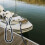 WZXPWT Bungee Dock Line with Snubber 4FT 5
