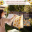 Sunflower Cow Print Clothespin Bag with Hanging Hook 5
