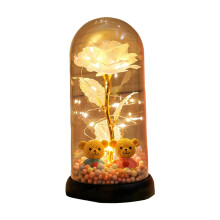 Veilleuse LED en forme de rose sous dôme de verre avec rose préservée et deux