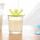 Silikoninen pesualtaan tulppa Humanoid Design3Colors 1
