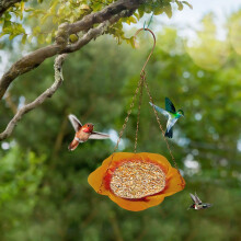 Bird Feeder with Camera Rose Gold Metal Bowl 3-Chain