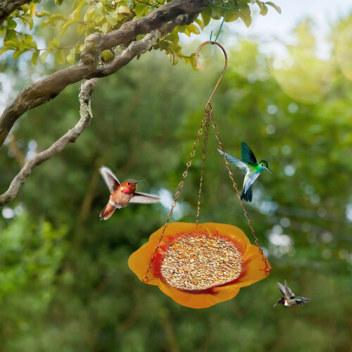 Bird Feeder with Camera Rose Gold Metal Bowl 3-Chain