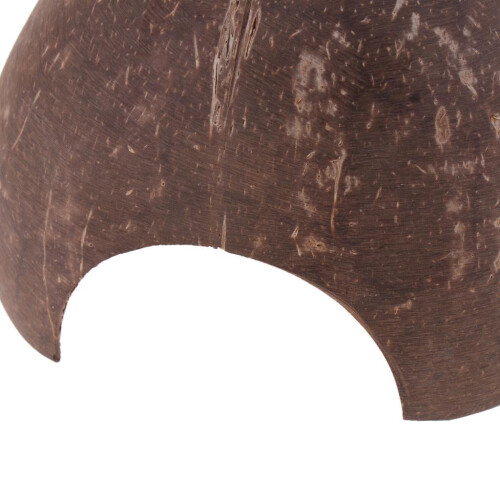 Cabane naturelle en noix de coco, cachette pour reptiles, grotte 1