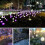 Luces solares con forma de diente de león, multicolor, paquete de 4 8