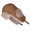 Women's Trapper Hat with Ear Flaps and Fleece Lining 1
