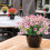 Τεχνητά Λουλούδια Outdoor8Bundles Faux Plastic 7