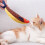Παιχνίδι ψαριού Catnip για γάτες - Διαδραστικό παιχνίδι μάσησης και παιχνιδιού 4