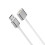 Electric Toothbrush Charging Wire for LFTB01-P Type C/USB A 1