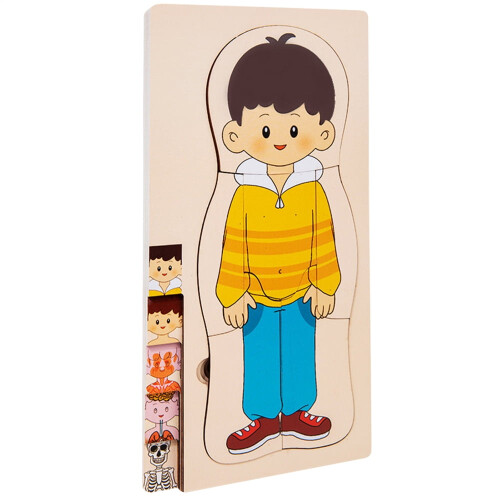 Human Anatomy Puzzle for Kids – Realistic Jigsaw Model