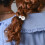 Gomas elásticas negras para el cabello, elegantes, 3 piezas 5