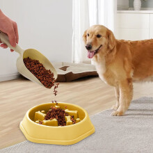 Dog Slow Food Bowl – Anti-Choking Feeder for Small/Medium Dogs, Swirl Flower Pattern, Non-Slip, Easy Clean, 22.24.5 cm