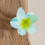 Eibloem Haarklemmen Paars Medium 2-pack 5