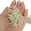 Bread Soft Fishing Lures Artificial Maggots 50 pcs 6