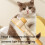 Cat Comb Self-Cleaning Grooming Brush Yellow 6