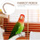 Parrot perch stand light brown sturdy 1 piece 6