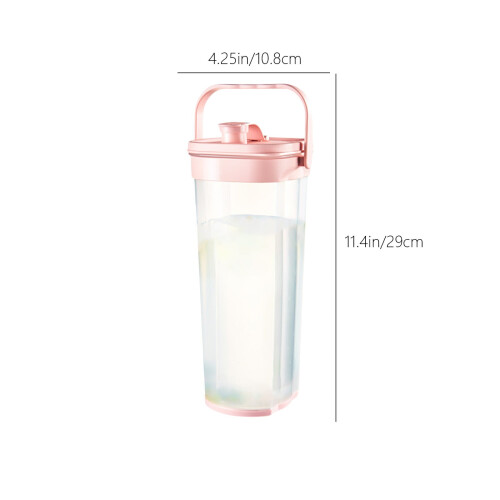 Insulated Fruit Infuser Water Bottle 2L 2