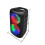 HY-3317 Wireless Speaker with Belt Microphone Stereo 3