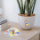 Flatback Glass Pieces Assorted Colors 100 pcs 5
